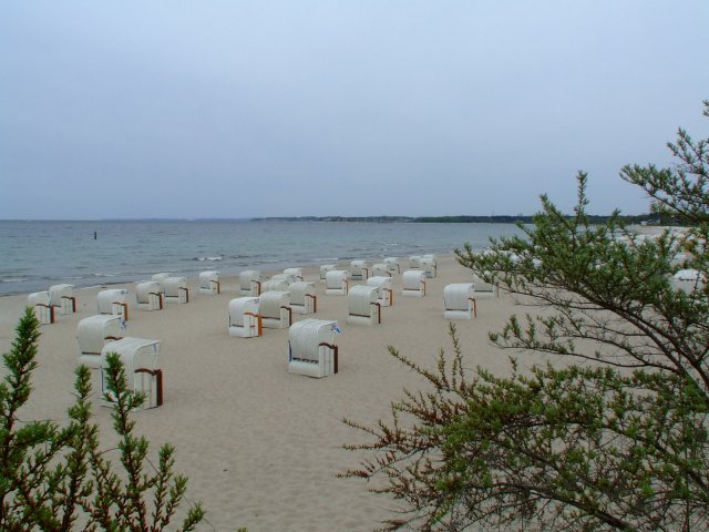Kreisfrmig angeordnete Strandkrbe bei Niendorf